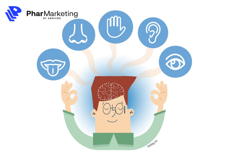 Thính giác và thị giác là hai giác quan tiếp nhận thông tin khi xem quảng cáo